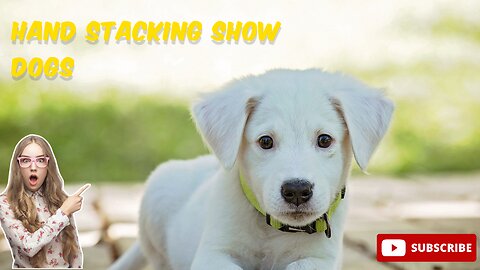 Gaiting patterns and free stacking for dog shows