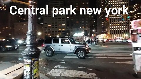 Central Park & 5th Avenue & 59th Street Manhattan New York