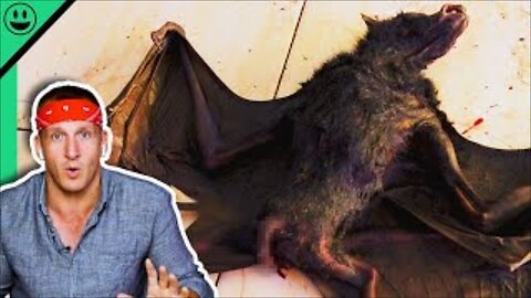 Eating GIANT Bats in Indonesia!! Sonny Reacts To Old Videos!!