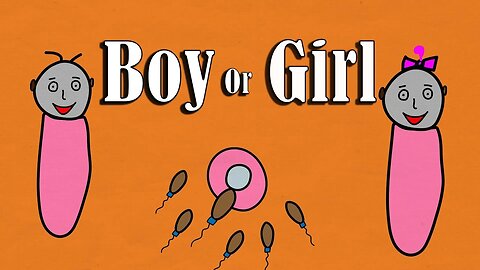 Who determines the sex or gender in next generation child
