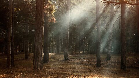 VÍDEO-MÚSICA-RELAXANTE PARA ACALMAR AS ANGÚSTIAS E TRANQUILIZAR A ALMA