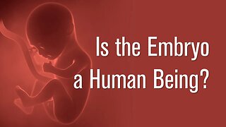 Is the Embryo a Human Being?