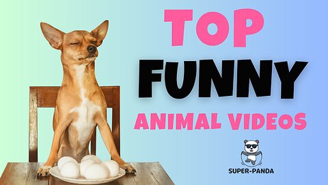 Try not to LAUGH ! (Part 4) The Ultimate Compilation of Funny Animal Videos