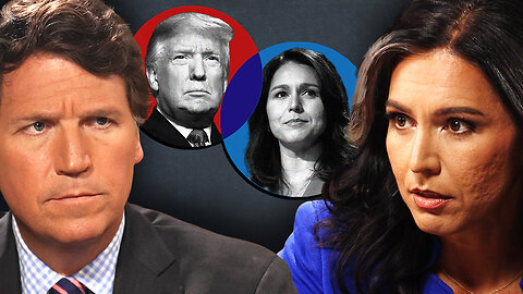 Tucker Carlson · Tulsi Gabbard has scathing remarks about the Democratic party