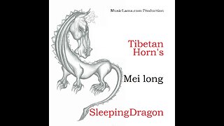 Mei long Tibetan Horn's Sleeping Dragon