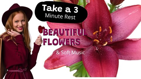 Take a 3 Minute Rest With These Beautiful Flowers and soft piano music