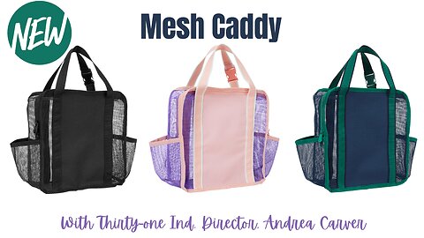 NEW Mesh Caddy | Ind. Thirty-One Director, Andrea Carver