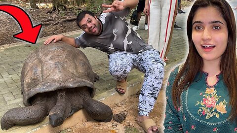 Giant Turtle Mil Gaya 😱 | Indian Brother Ne Lift De Di