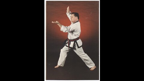 Tang Soo Do 5...Fighting Combinations & Orange Belt Requirements