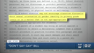 Don’t Say Gay bill clears first Florida Senate committee with party-line vote