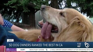 Fact or Fiction: San Diego dog owners ranked best in California