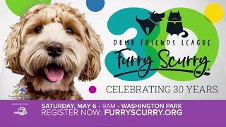 Furry Scurry // DDFL.org