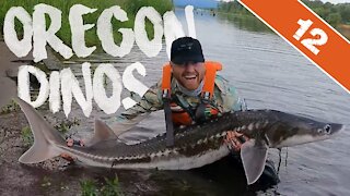 FISHING FOR DINOSAURS - Catching 7-Foot Oregon White Sturgeons from a Kayak