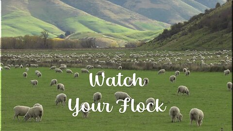Watch Your Flock - (40 Verses - Repeat begins @ 5 min 34 sec)