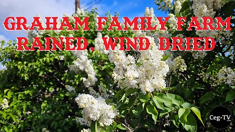 Graham Family Farm: Rained, Wind Dried