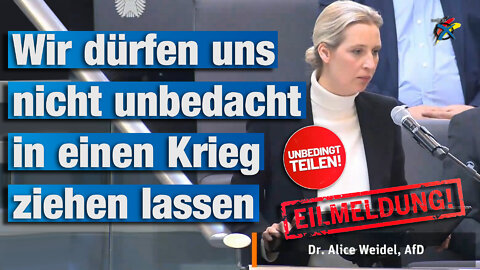 Wir dürfen uns nicht unbedacht in einen Krieg ziehen lassen | Alice Weidel AfD