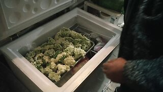How To Freeze Cauliflower