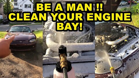 BE A MAN !!! CLEAN YOUR ENGINE BAY !!!