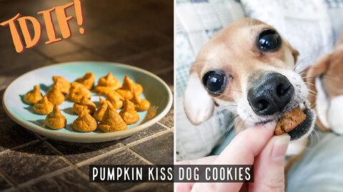 How to make Pumpkin Kiss Dog Cookies