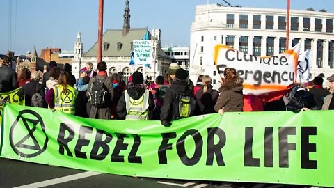 “Wir befinden uns im 6. Massensterben!”| Interview mit Extinction Rebellion