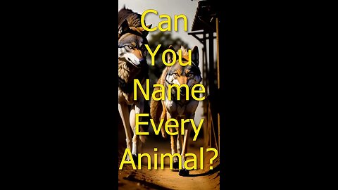 #4k #Ai Animal Morph #animation #musicvideo #youtube #trippy #cool #djsavage55 #discordjunkie55