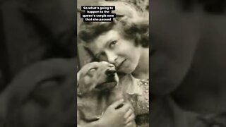 What Will Happen To Queen Elizabeth's Dogs (Corgis)? #shorts