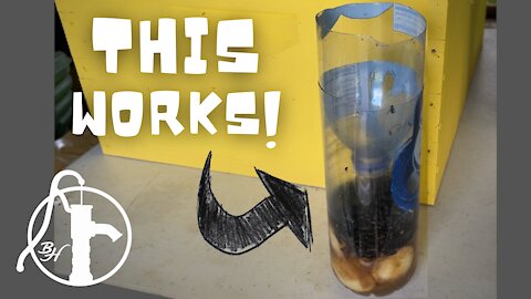Homemade Fly Trap that Works!