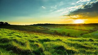 Soothing Irish Music - Irish Meadow | Peaceful, Relaxing, Beautiful ★146