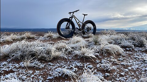 Desert Snow Day