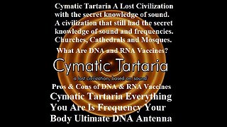 Cymatic Tartaria Everything You Are Is Frequency Your Body Ultimate DNA Antenna