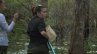 FGCU Wet Walk