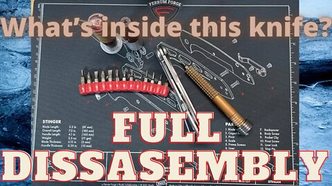 PMP BIG BOY WHATS INSIDE THIS KNIFE |FULL DISASSEMBLY AND MAINTENANCE