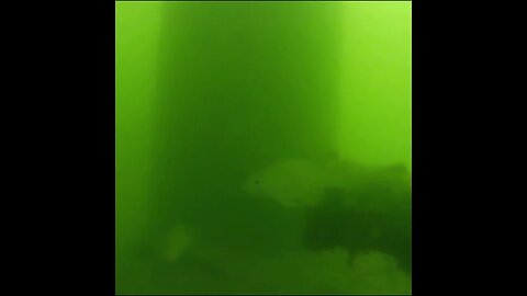 underwater time lapse