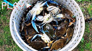 Epic Cajun Family Crabbing Adventure & Seafood Boil