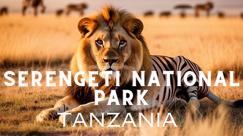 Serengeti Safari Adventure: Tanzania'sWildlife Paradise Uncovered
