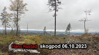 Skogpod 6. oktober 2023