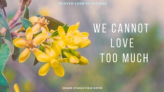Heaven Land Devotions - We Cannot Love Too Much