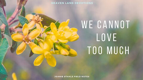 Heaven Land Devotions - We Cannot Love Too Much