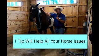 1 tip That will help every issue you have with your horse