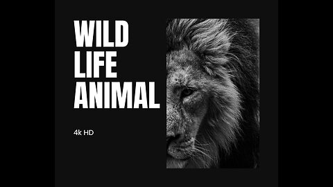 Amazon wildlife animals 4k hd video. Beautiful life