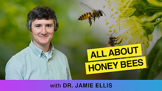🍯🐝 Sweet Talk: All About Honey Bees With Jamie Ellis 🐝🍯