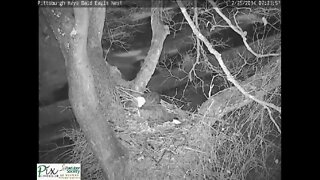 Hays Eagles Christmas nest visit 2014