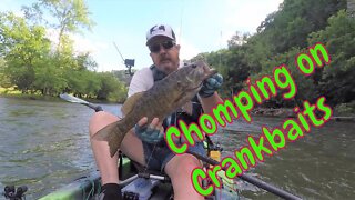 Smallmouth: Chomping on Crankbaits