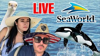 SeaWorld on a crazy super hot day | Live with Krista & Jay