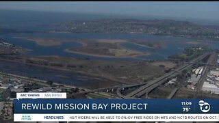 Request for funds to restore Mission Bay wetlands