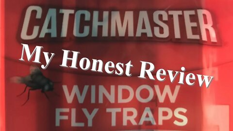 Review: catchmaster window fly traps