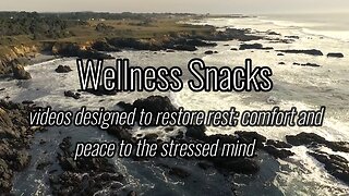 Wellness Snack - Peaceful Ocean Shores!