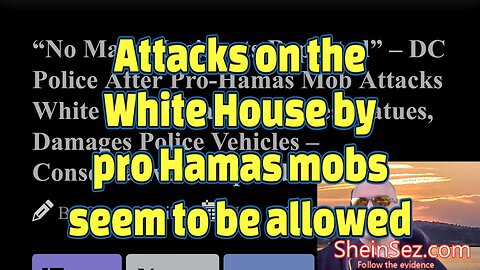 Attacks on the White House by pro Hamas mobs seem to be allowed-SheinSez 344
