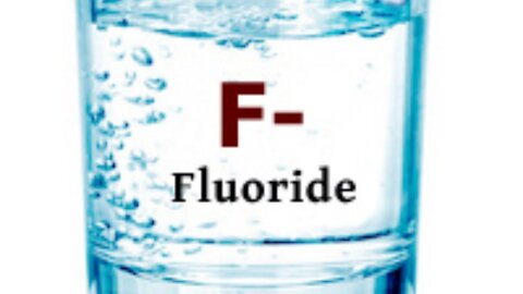 TSCA - EPA Fluoride Legal Proceedings Day 6