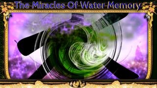 The Miracles of Water Memory - Dr. Masaru Emoto